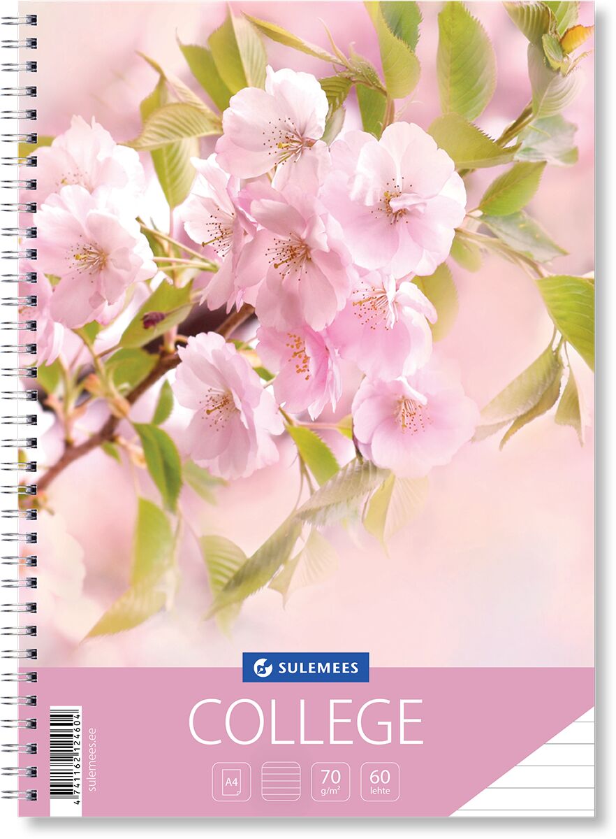 College A4, 60 lehte, jooneline, Kipslill | Kasseti Expert