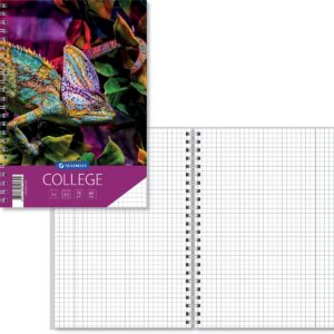 College A5, 60 lehte, 5×5 ruut, Kastehein