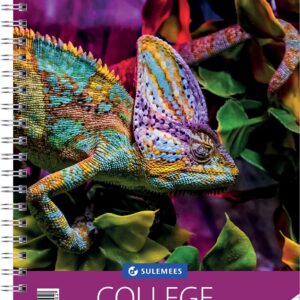 College A5, 60 lehte, 5×5 ruut, Kastehein