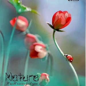 Kaustik A5 48 lehte ruut, NATURE