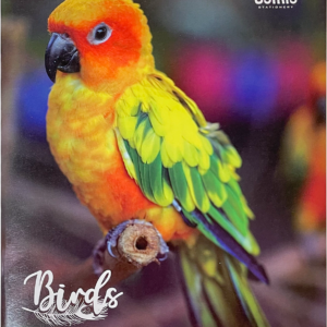 Kaustik A5 48 lehte joon, BIRDS