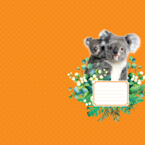 Töövihiku kattepaber 8 erinevat rullis, pildivalik 1 (123)