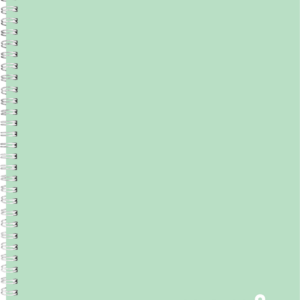 Memo A4 joon, 60 lehte, pastelne roheline
