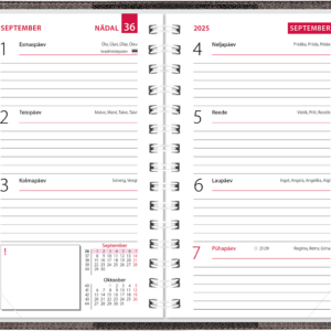 Mini kool, plastkaaned – must