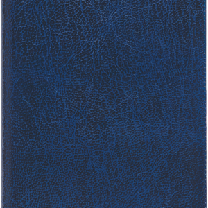 Mini kool, plastkaaned – sinine