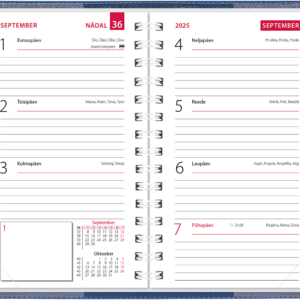 Mini kool, plastkaaned – sinine