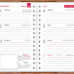 Mini kool, plastkaaned – pruun