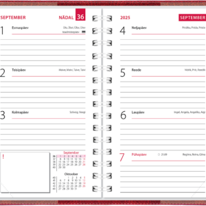 Mini kool, plastkaaned – tumepunane