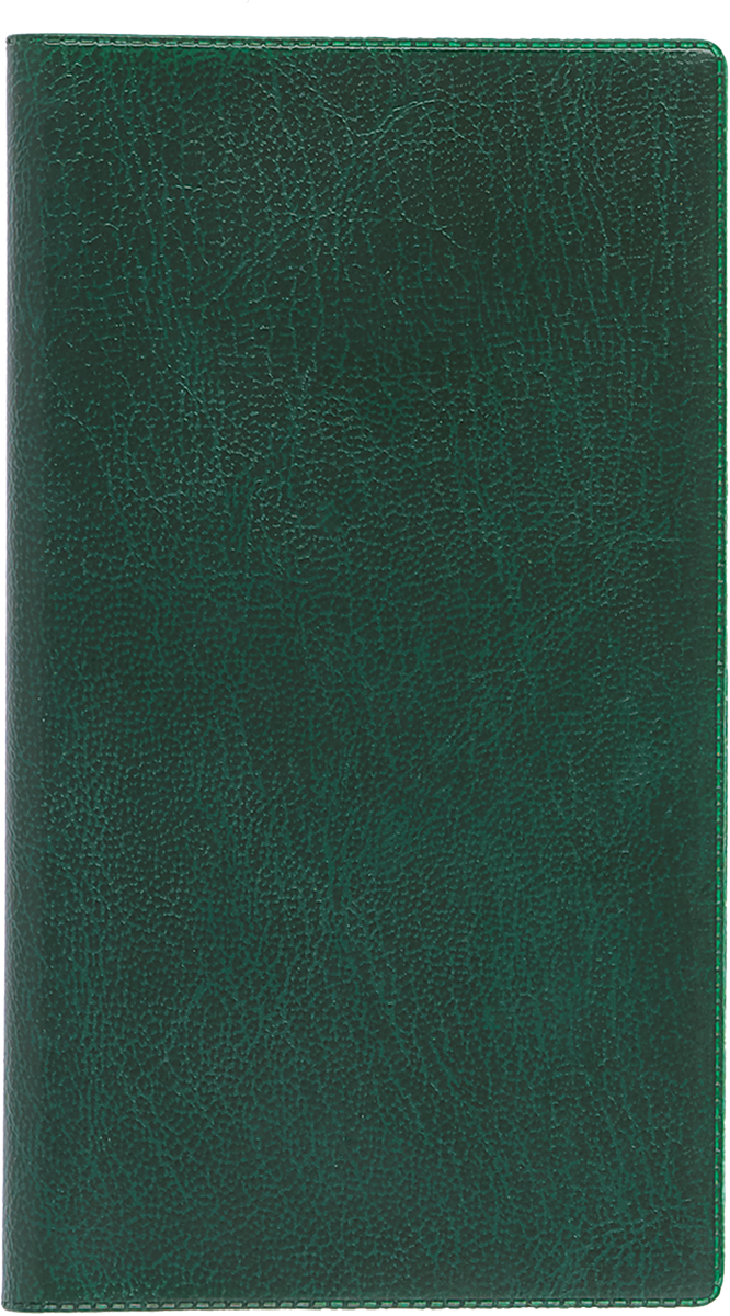 Mini kool, plastkaaned - roheline | Kasseti Expert