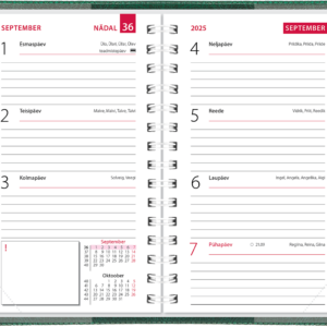 Mini kool, plastkaaned – roheline