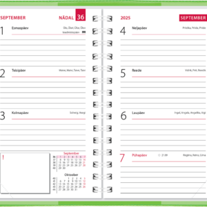 Mini kool, plastkaaned – heleroheline