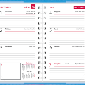 Mini kool, plastkaaned – helesinine