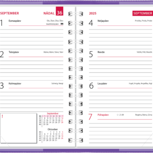 Mini kool, plastkaaned – lilla