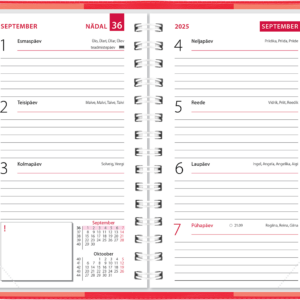 Mini kool, plastkaaned – punane