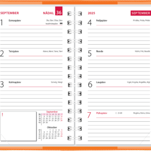 Mini kool, plastkaaned – oranž