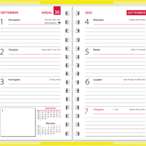 Mini kool, plastkaaned – kollane