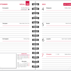 Mini kool, plastkaaned – pilt 2