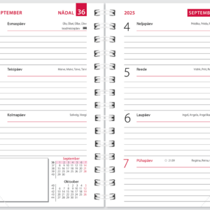 Mini kool, plastkaaned – pilt 3