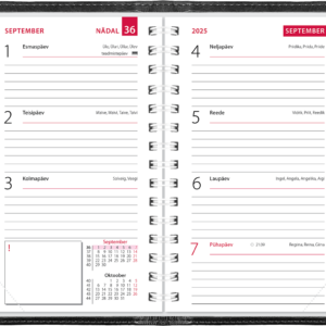 Mini kool, Lux kaaned – must