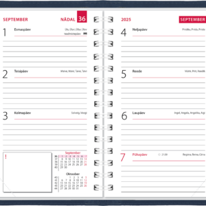 Mini kool, Lux kaaned – sinine