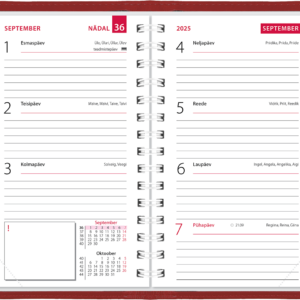 Mini kool, Lux kaaned – tumepunane