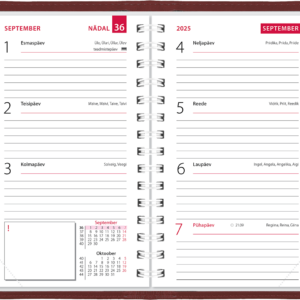 Mini kool, Lux kaaned – pruun