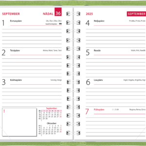 Mini kool, Lux kaaned – heleroheline