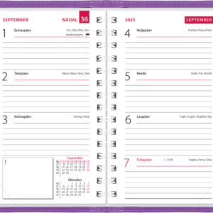 Mini kool, Lux kaaned – lilla