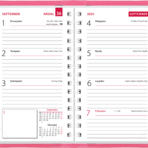 Mini kool, Lux kaaned – roosa