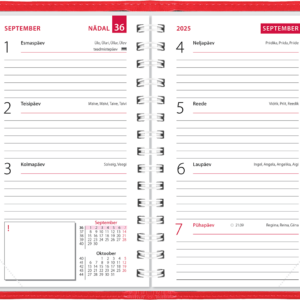 Mini kool, Lux kaaned – punane