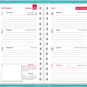 Mini kool, Lux kaaned – türkiis