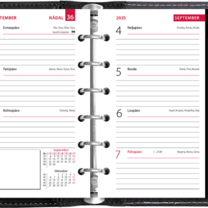 Mini-A7 kool – must