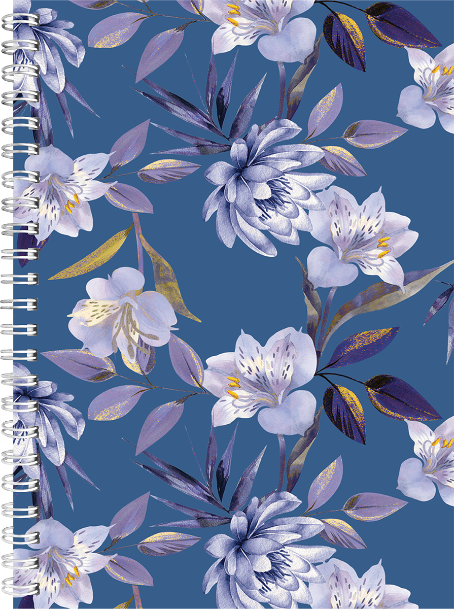 Nature A5 kool, pildiga kaaned – pilt 1 | Kasseti Expert