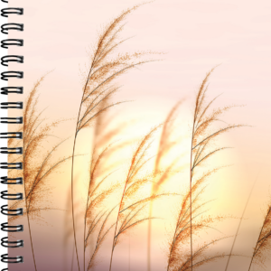 Nature A5 kool, pildiga kaaned – pilt 4