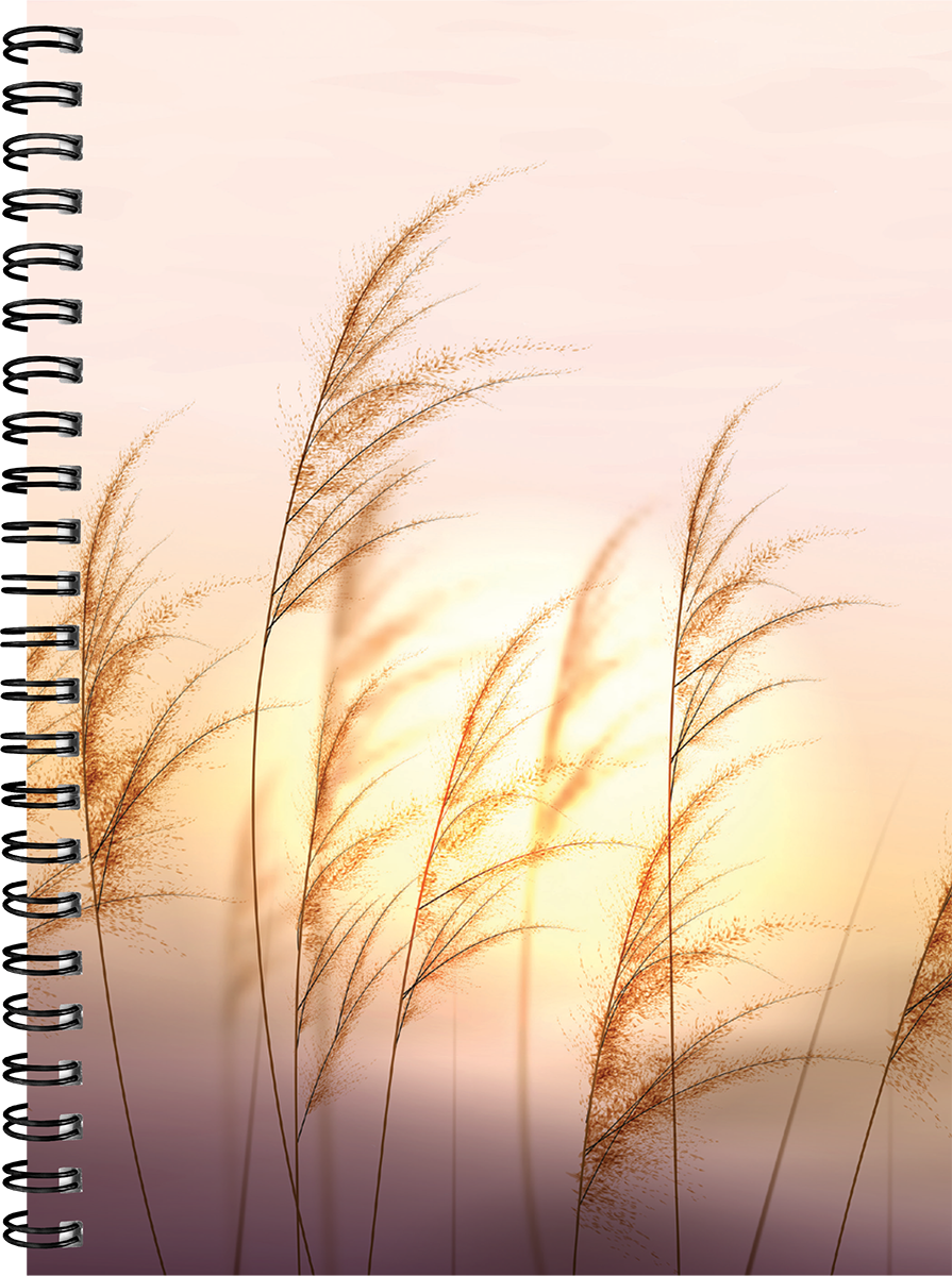 Nature A5 kool, pildiga kaaned – pilt 4 | Kasseti Expert