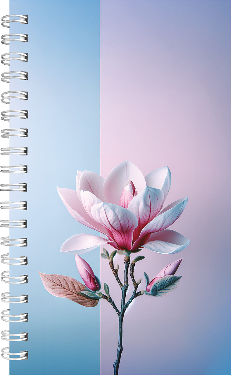 Nature B6 Nädal, spiraalköide, PILT 1 | Kasseti Expert