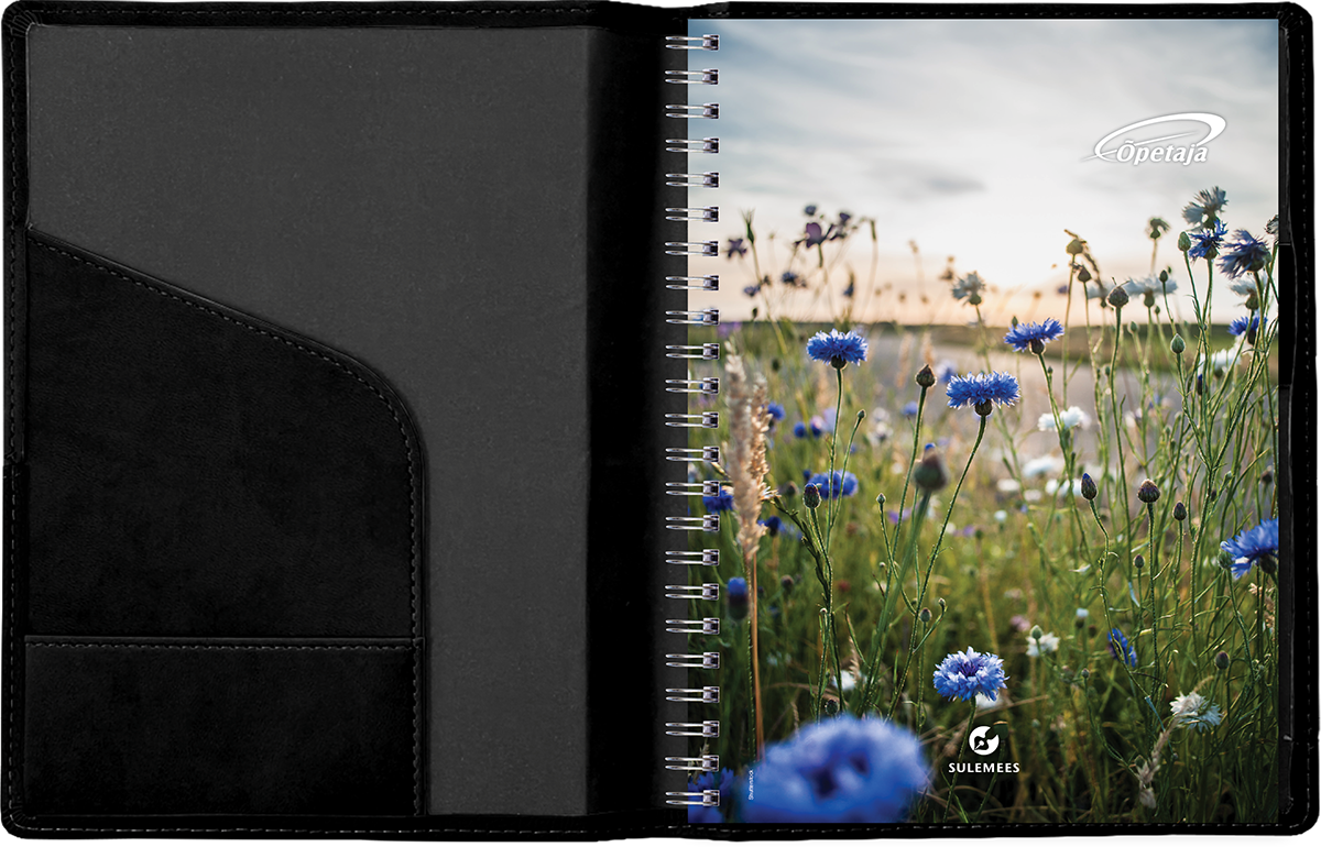 Õpetaja raamat A5, Lux kaaned – must shining | Kasseti Expert