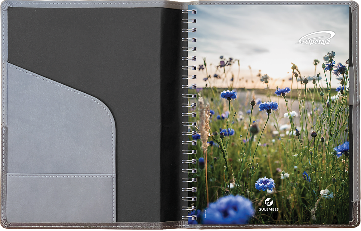 Õpetaja raamat A5, Lux kaaned – tumehall/helehall | Kasseti Expert