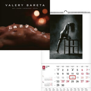 Aktikunst V.Bareta kalender 2026 spiraalköide