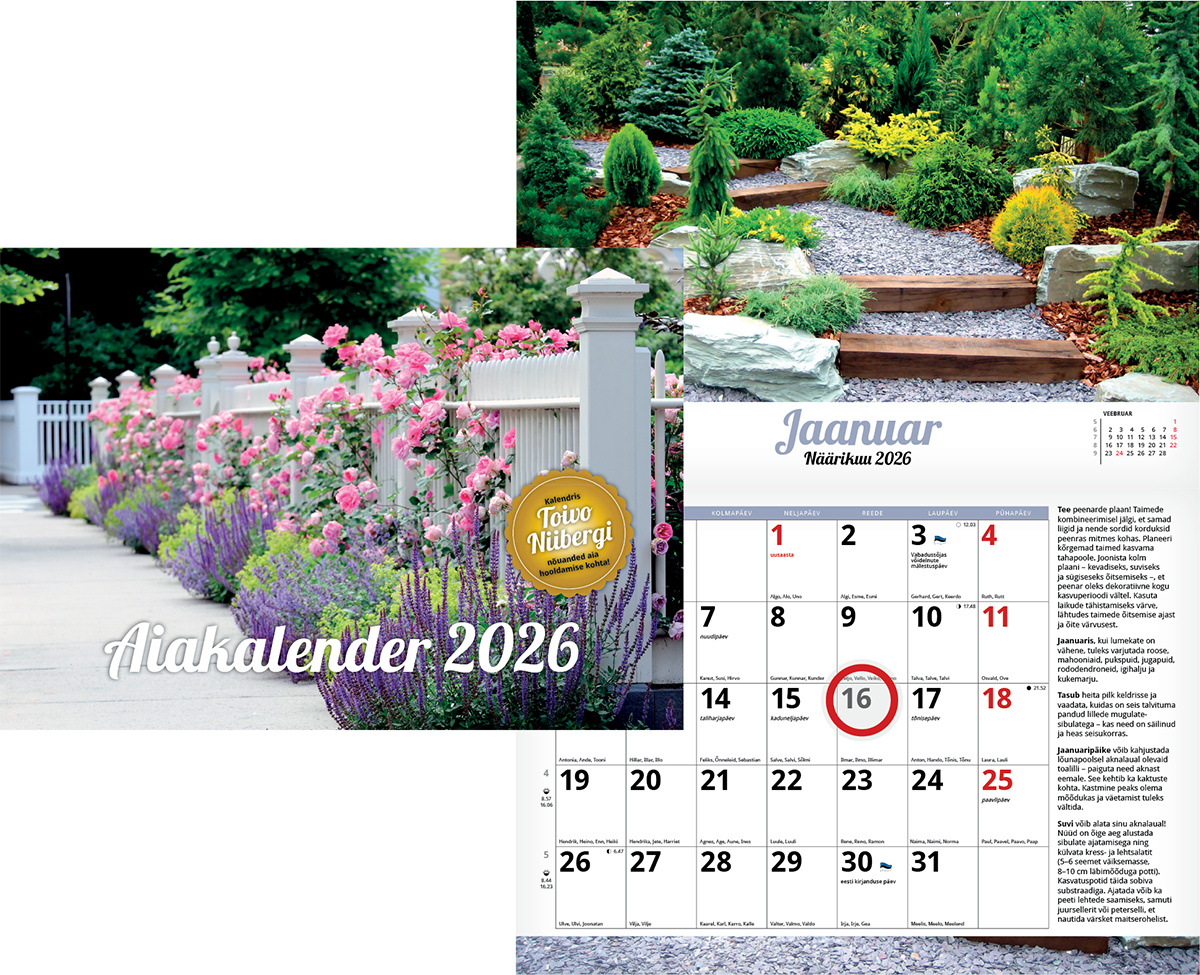 Aiakalender, 297x420mm, klamberköide | Kasseti Expert