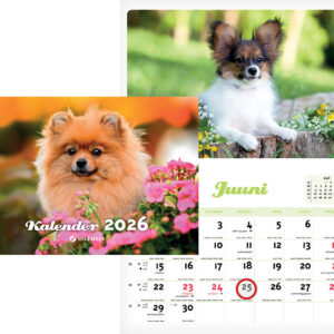 Kutsukalender, 240x330mm, klamberköide