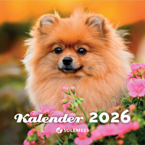 Kutsukalender, 240x330mm, klamberköide