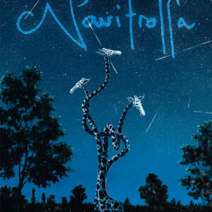 Navitrolla kalender 2025, spiraalköide, kinkekarbis