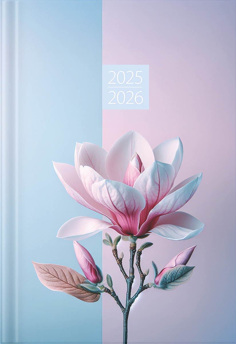 Student A6, kõvaköide – pilt 1 | Kasseti Expert