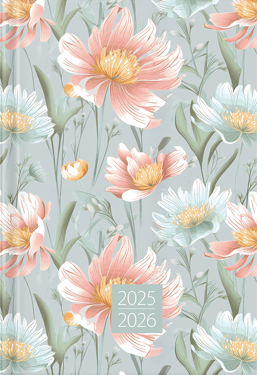 Student A6, kõvaköide – pilt 3 | Kasseti Expert