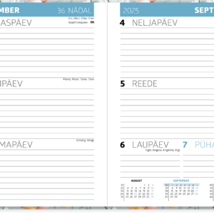 Student A6, kõvaköide – pilt 3