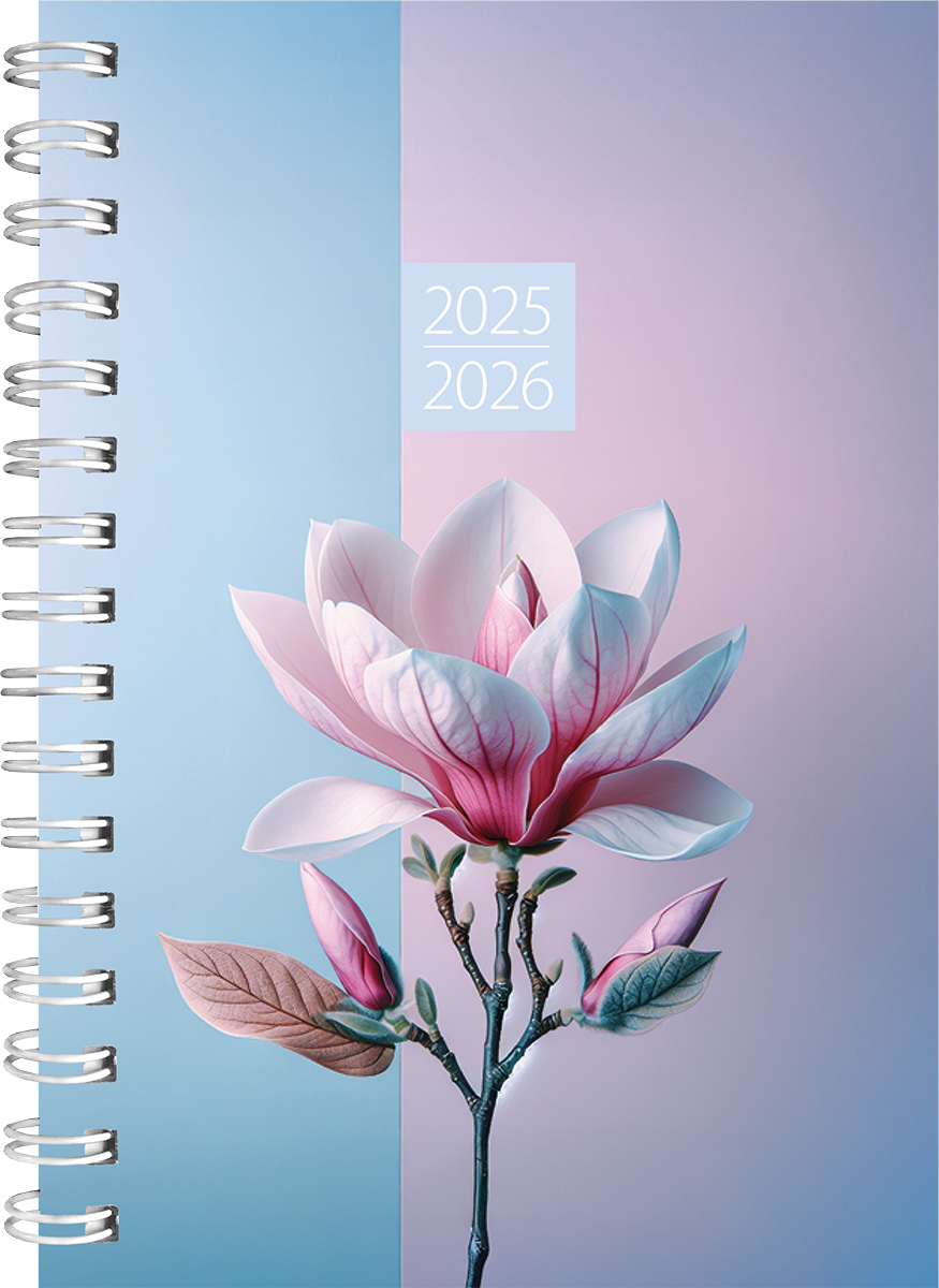 Student A6, spiraalköide – pilt 3 | Kasseti Expert