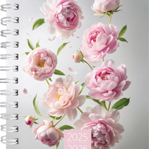 Student A6, spiraalköide – pilt 5