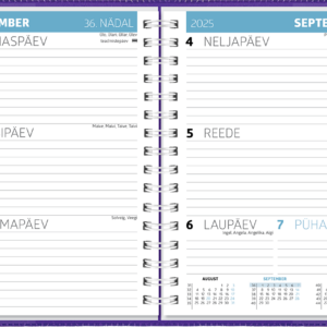 Student A6, spiraalköide – lilla