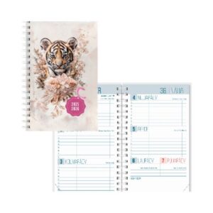 Väike koolipäevik Spiraalköide